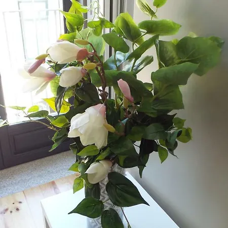 דירה Tropical Charm