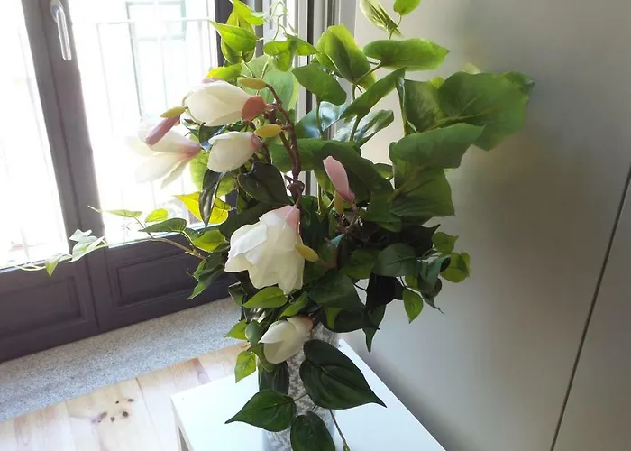 Lägenhet Tropical Charm